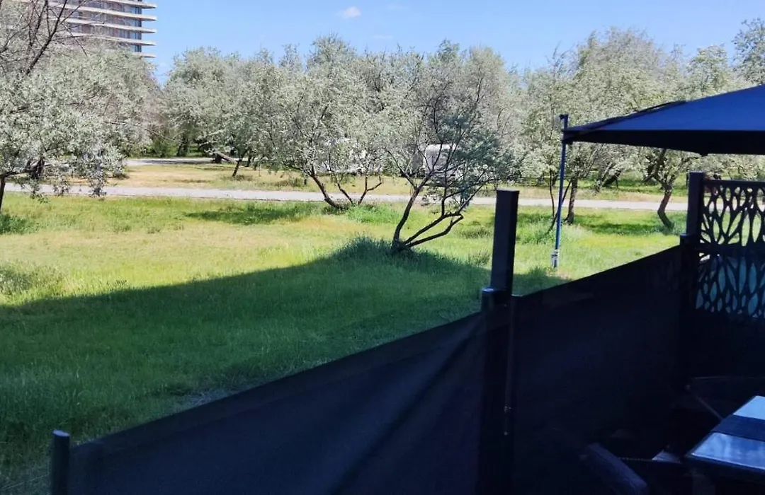 Marine Apartment,Mamaia Nord-1