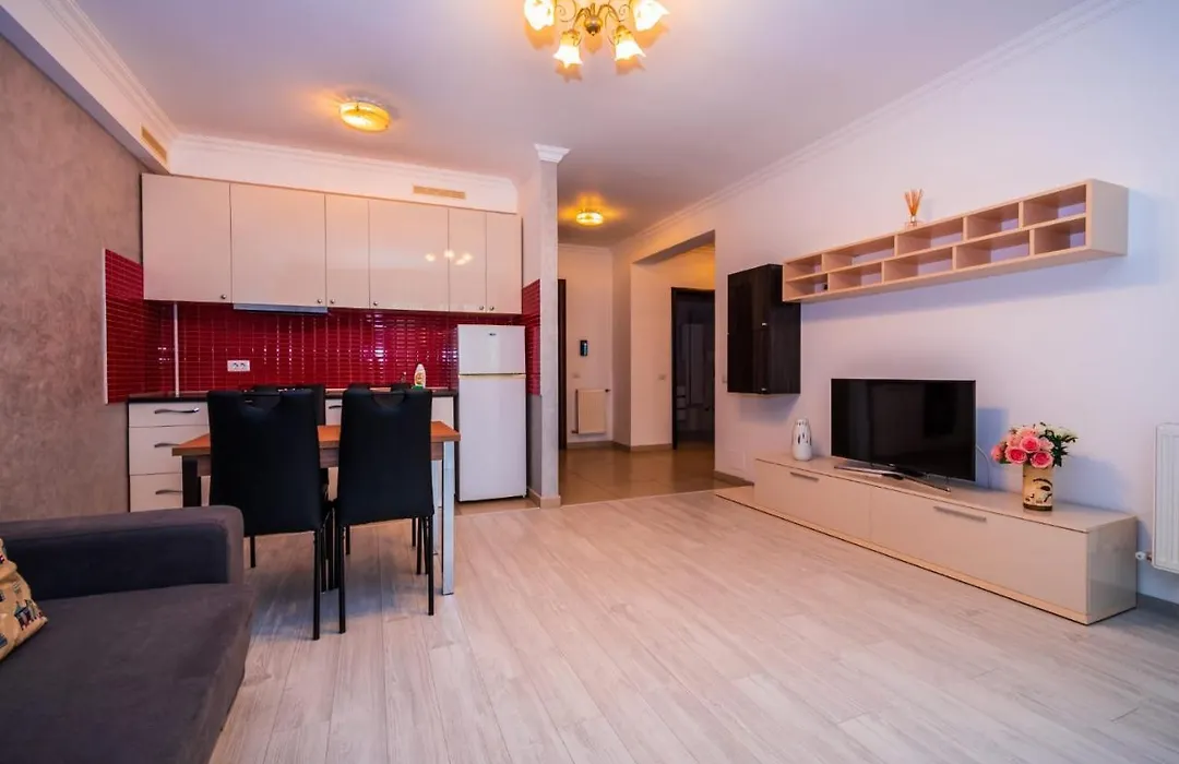 C&Y Solid Residence-1