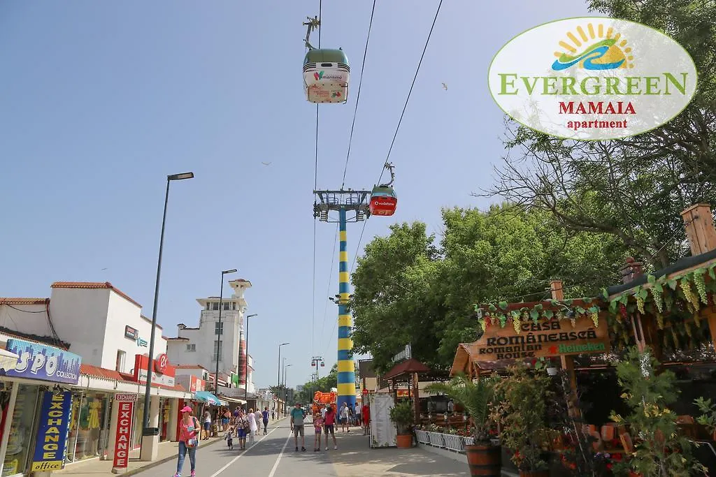Evergreen Vlas Mamaia Sud-1
