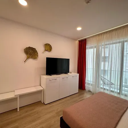 RoApart SunRise Apartamente cu 1 si 2 camere cu Vedere la Mare parcare 2 min de plaja-2