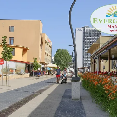 Evergreen Vlas Mamaia Sud-3
