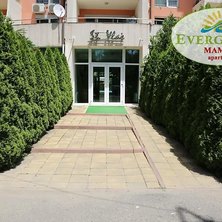 Evergreen Vlas Mamaia Sud-2
