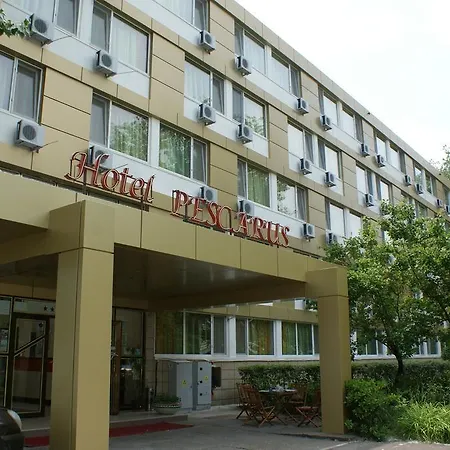 Hotel Pescarus-3