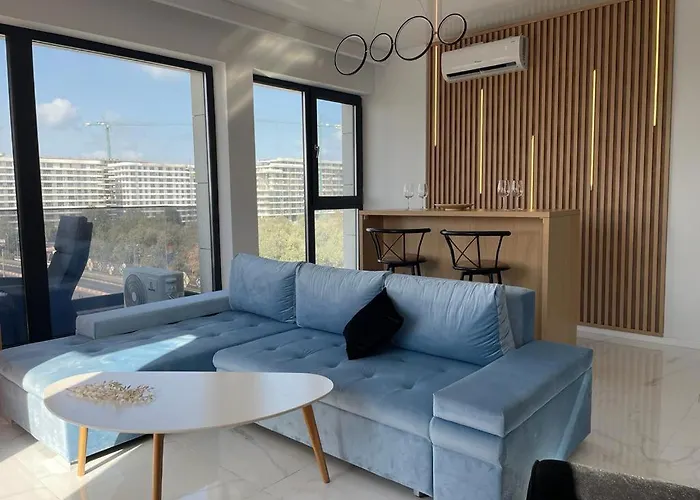 Shiba Studio Mamaia
